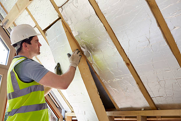 Best Cellulose Insulation in Madison, FL